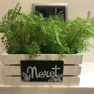 Neret Ii Sort